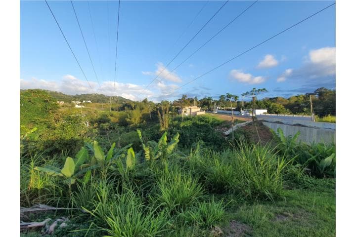 Solar 682 mc Sector Villa Sonsire.,
en Mayagüez Puerto Rico Solar en Urbanizacion - Villa Sunsire