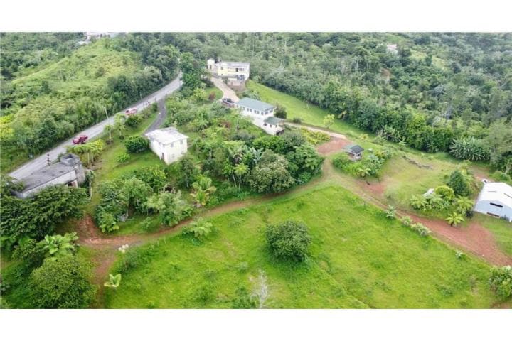 Carretera 143, Consejo, Utuado, 00664