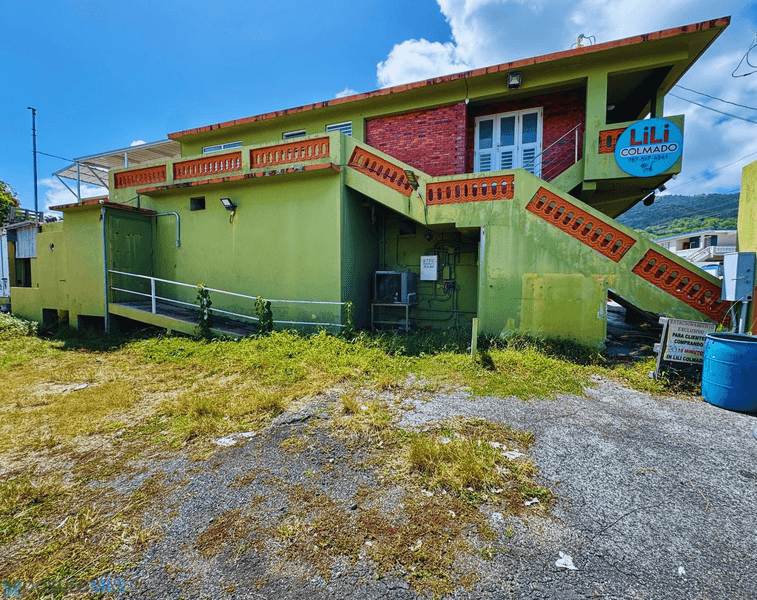 234-236 234/236 EMAJAGUA COMM MARIANI, MAUNABO, PR 00707, Emajaguas (Barrio), Maunabo, Puerto Rico 00707