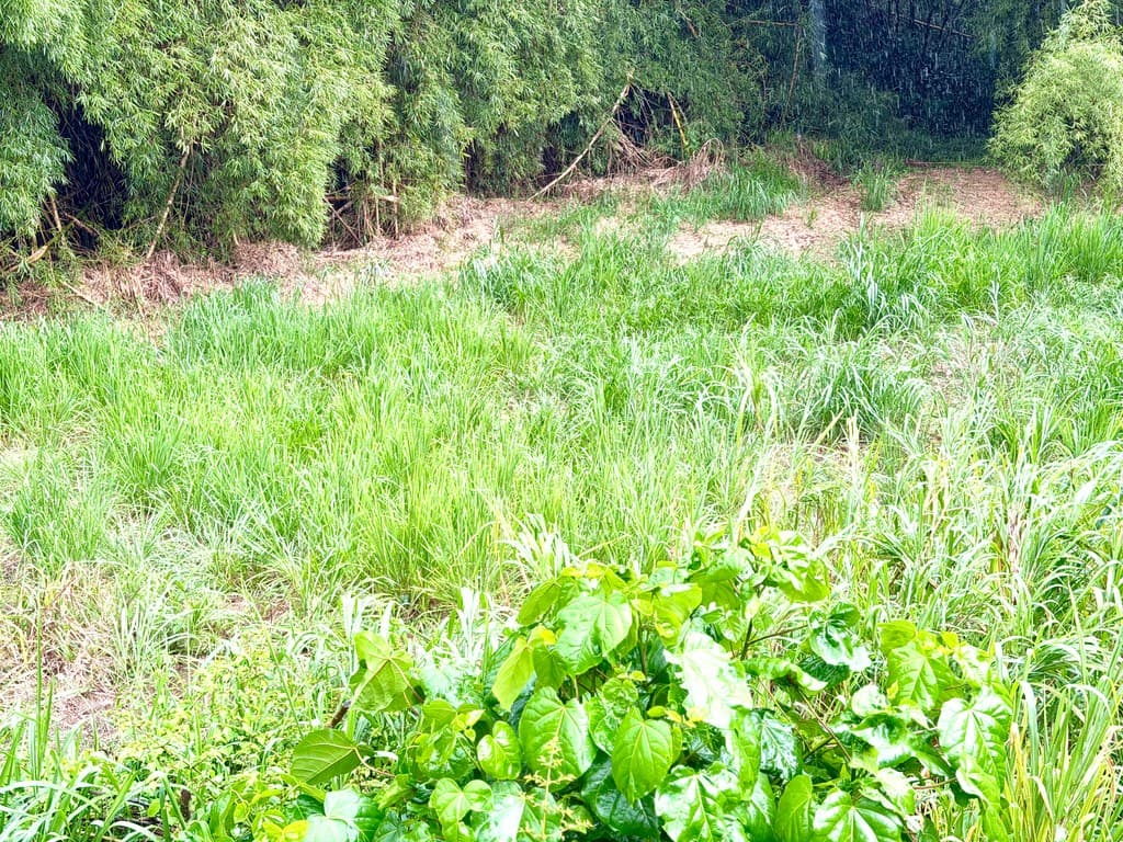 Bo. Arenas, Terreno en Cidra