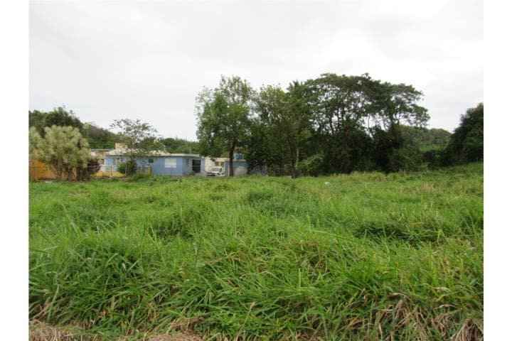 Carretera 129, Dominguito, Arecibo, 00612