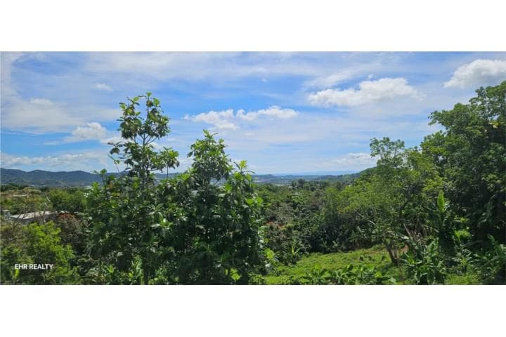20 Camino Limber , Tejas, Humacao, 00791