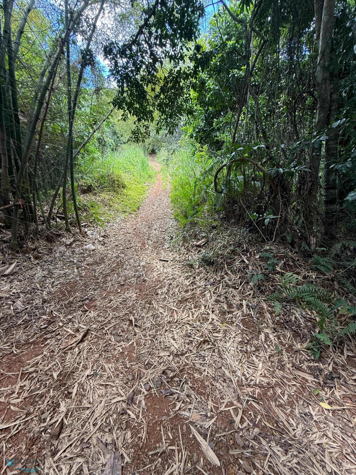Carretera 352, Río Cañas Abajo, Mayagüez, 00680