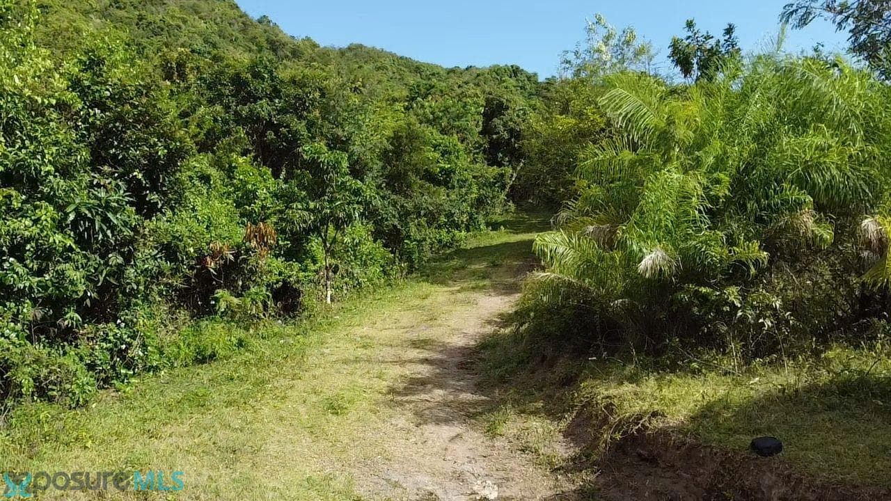 Solar/Lote en Venta en Juana diaz — 541 m², $225,000