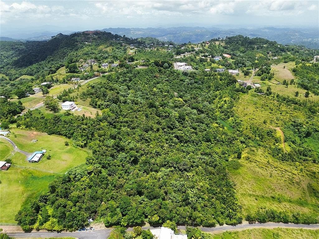 Carretera 957 Km 5.3, Ciénaga Alta, Río Grande, 00745
