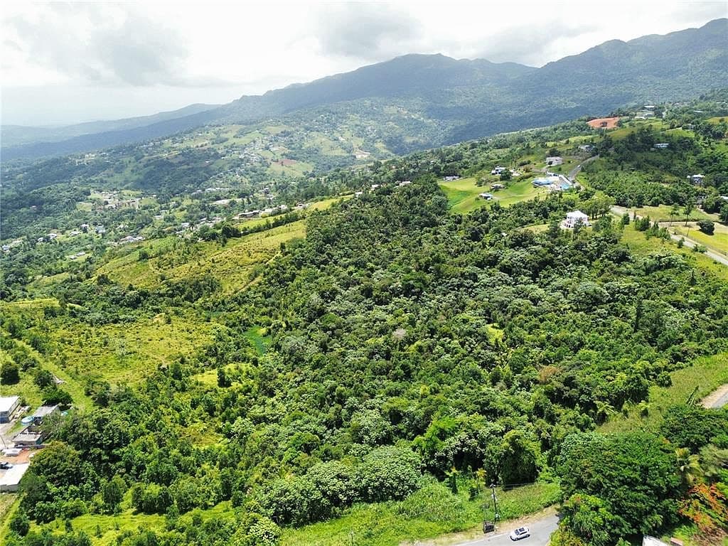 Carretera 957 Km 5.3, Ciénaga Alta, Río Grande, 00745