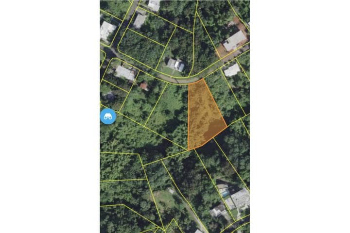 567 Calle Pitirre, Río Cañas Abajo, Mayagüez, 00682