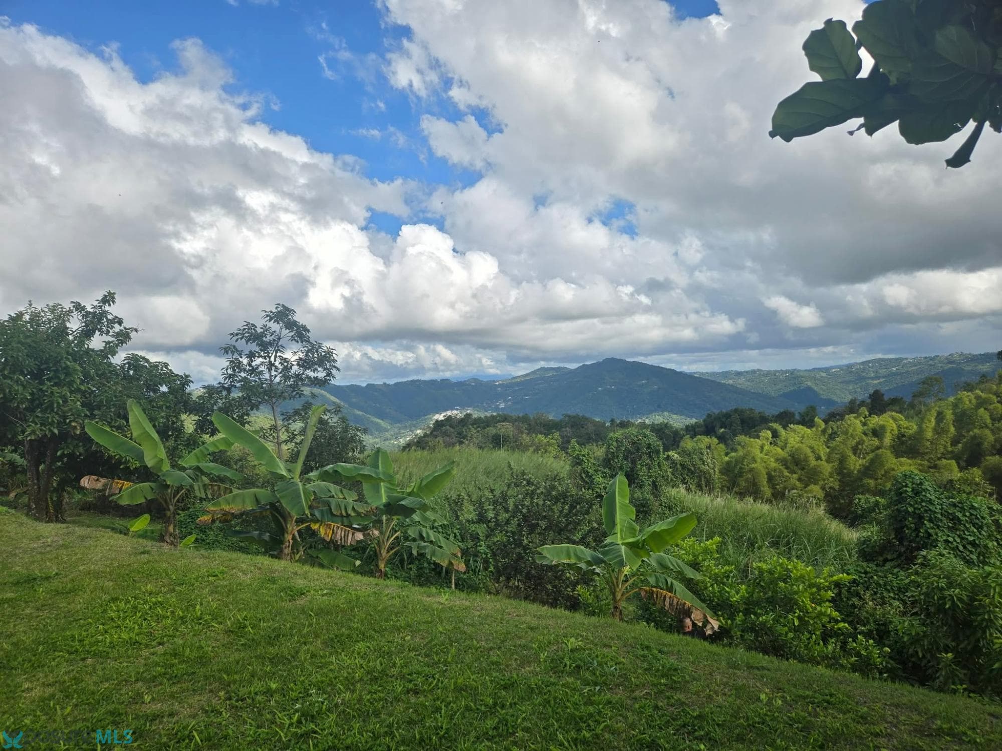 LOTE 8 DONA ELENA, COMERIO, PR 00782