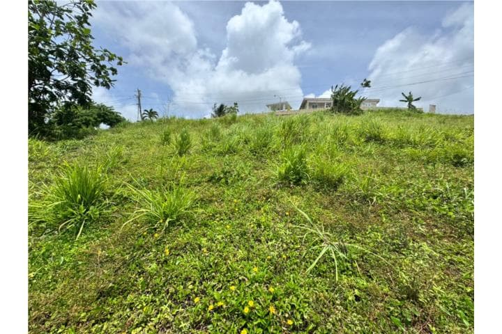 20 Camino Limber , Tejas, Humacao, 00791