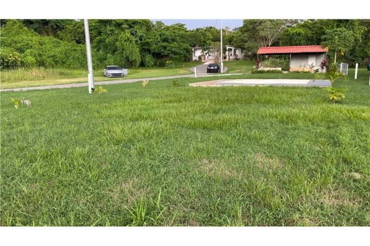 EXCELENTE OPORTUNIDAD,
en Isabela Puerto Rico Solar en Barrio - Coto