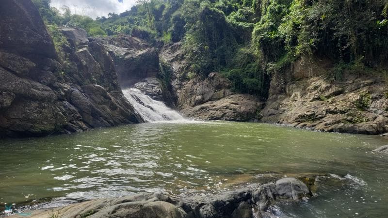 Carretera 185 Km 5.8, Hato Puerco, Canóvanas, 00729