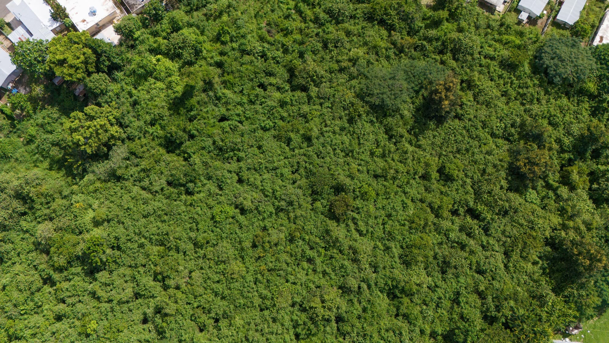 Carretera 844, Quebrada Ceiba, Peñuelas, 00624