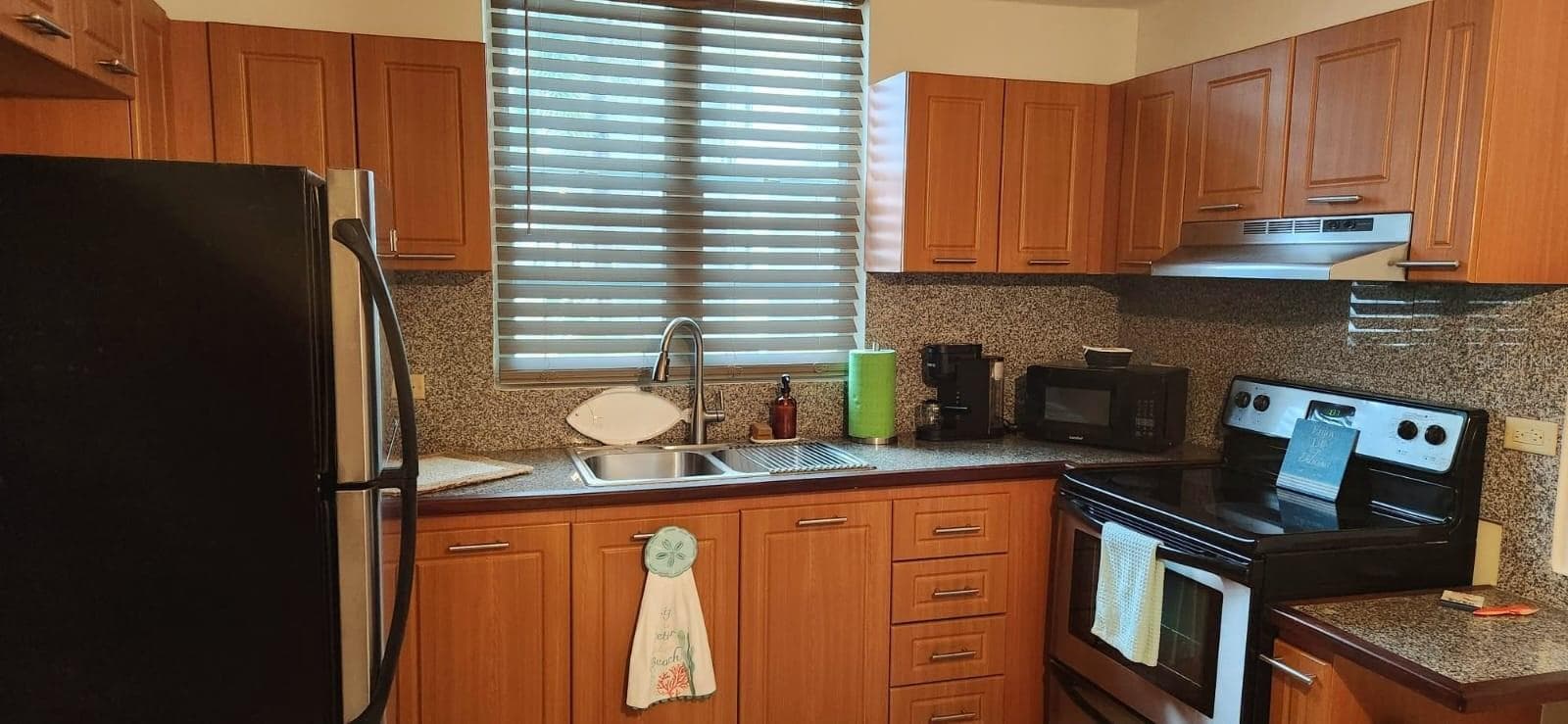 Condominio, Carrizal, Aguada, 00602