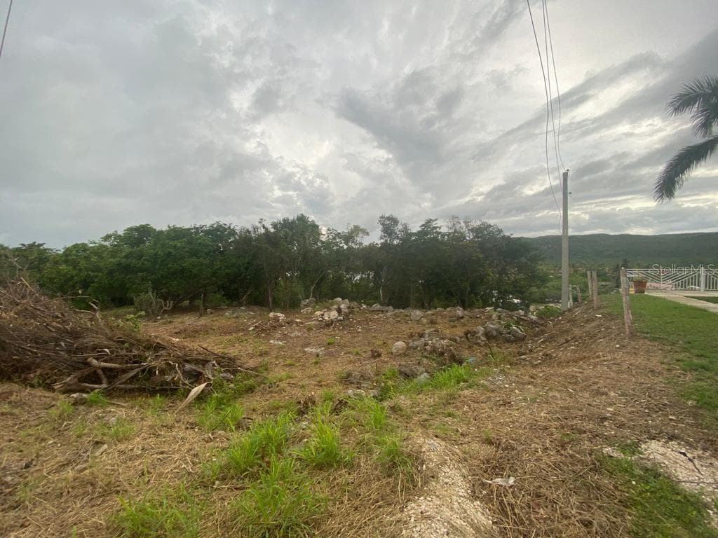 Carretera 333 Km 6.7, Carenero, Guánica, 00653