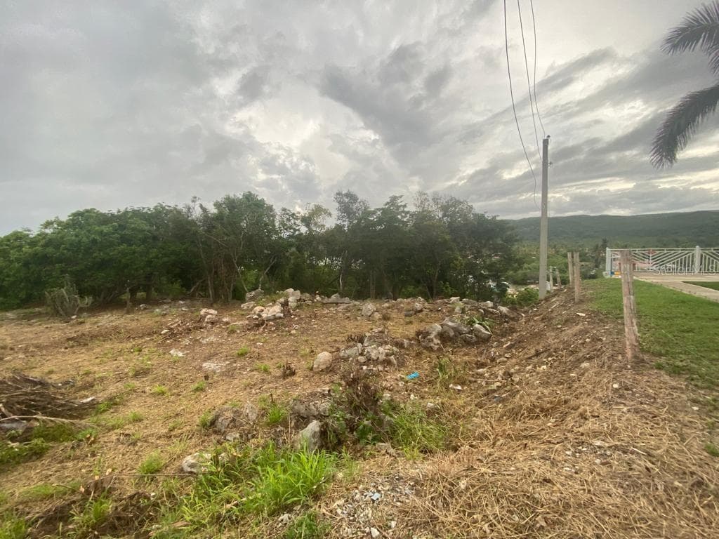 Carretera 333 Km 6.7, Carenero, Guánica, 00653