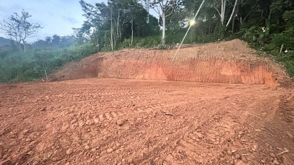 Oportunidad de Inversión en Guaynabo 🌳