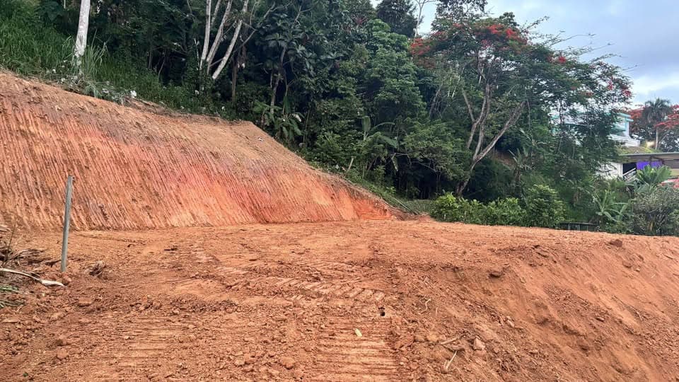 Oportunidad de Inversión en Guaynabo 🌳