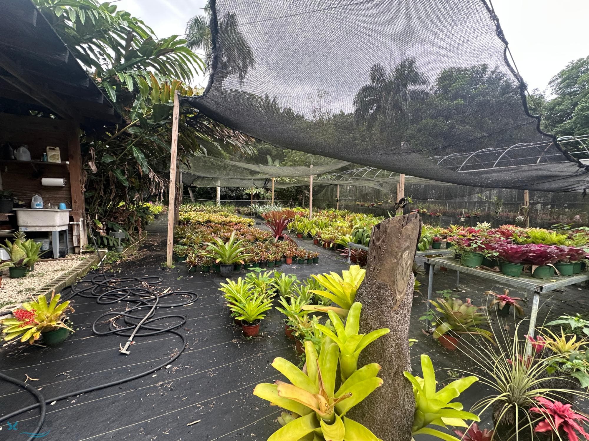 4.5 acre property, 3 units, 8 rooms
