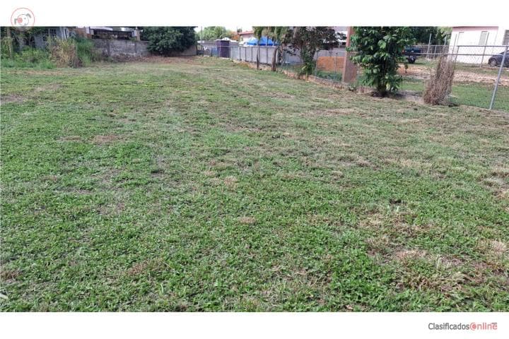 Lot 800m Hatillo PR Barrio Buena Vista,
en Hatillo Puerto Rico Solar en Barrio - Buena Vista