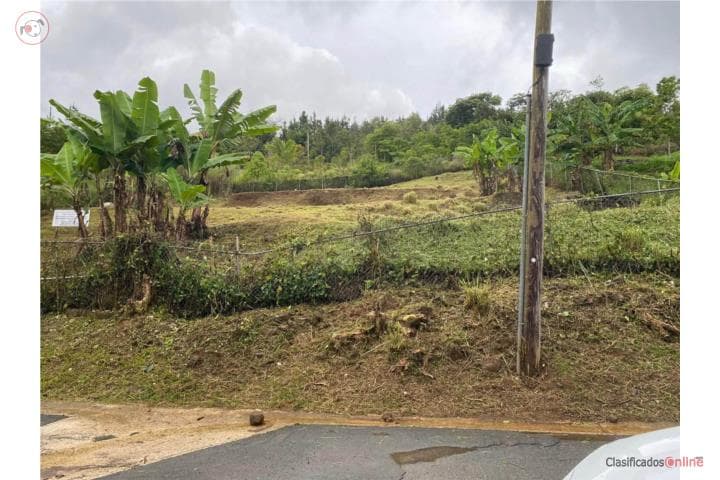 Bo Montellano, CIDRA FAVOR LEER,
en Cidra Puerto Rico Solar - Lot en Barrio - Montellanos