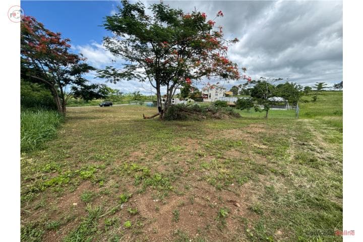 Solar, Barrio Miradero,
en Cabo Rojo Puerto Rico Solar - Lot en Barrio - Miradero