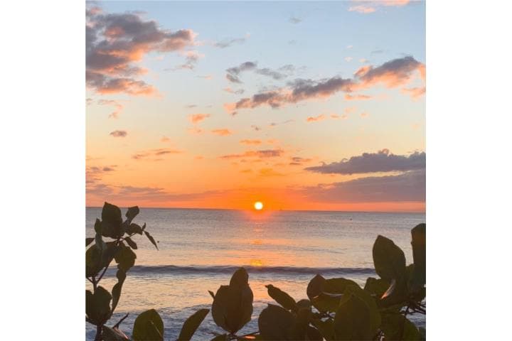 A pasos de la playa-Villas de Costa Dorada, en Isabela Puerto Rico
Apartamento en Condominio-Villas De Costa Dorada de 2 Cuartos y 2 Baños