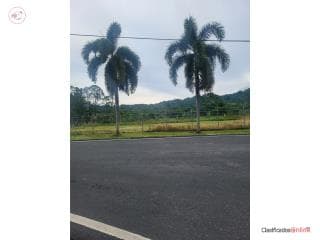 Se alquila terreno 1200 metros para food tru, en Yabucoa Puerto Rico
Solar/Finca en Barrio-Limones de N/A Cuartos y 0 Baños