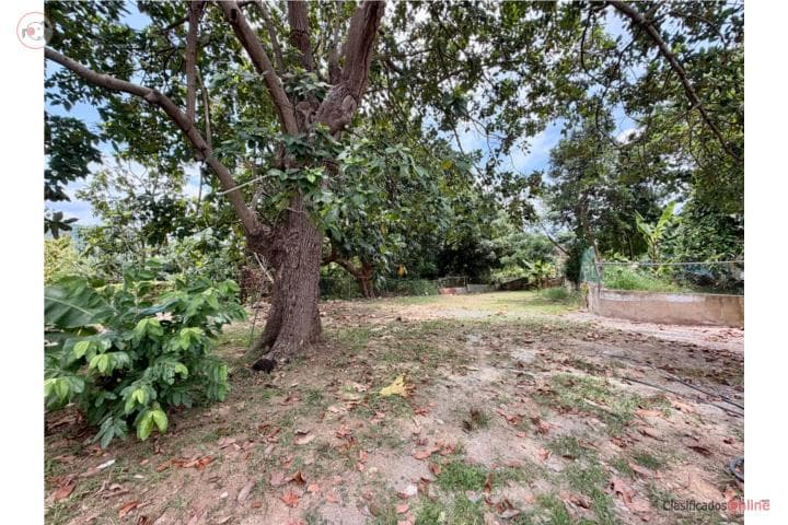 Family Property for Rent in Calvache, Rincón, en Rincón Puerto Rico
Casa en Barrio-Calvache de 3 Cuartos y 2 Baños