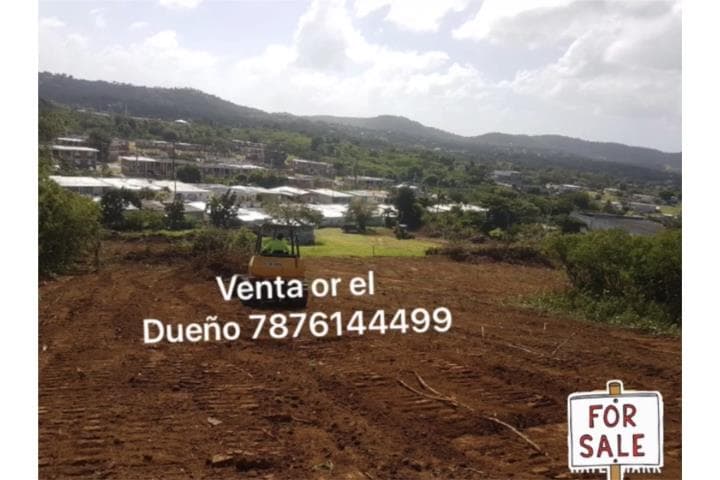 12 solares a minutos de la playa,
en Vieques Puerto Rico Solar en Barrio - Florida