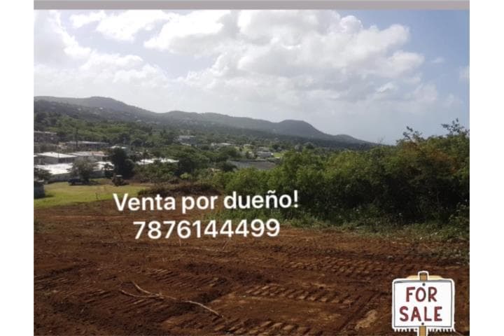 12 solares a minutos de la playa,
en Vieques Puerto Rico Solar en Barrio - Florida