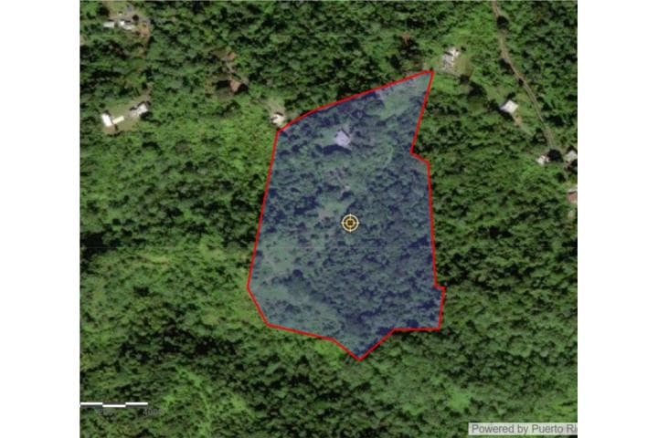 Oportunidad Única/casa y finca y pozo de agua,
en Las Marías Puerto Rico Finca en Barrio - Anones