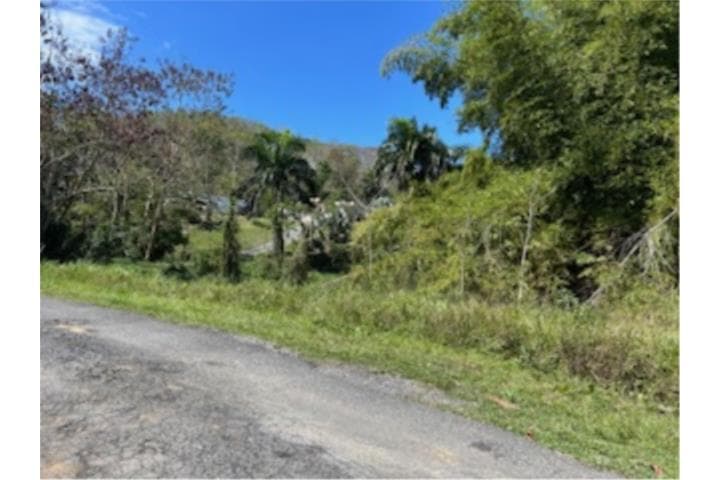 SOLAR EN AREA PRIVADA EN RINCON,
en Rincón Puerto Rico Solar en Barrio - Rio Grande
