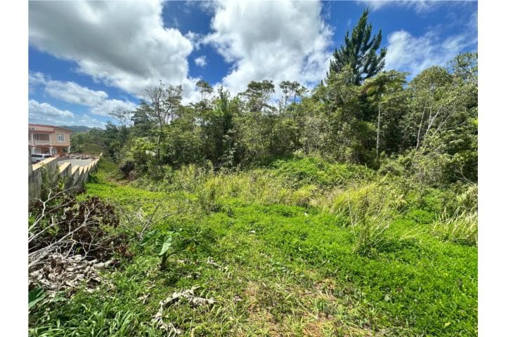 Se Vende Terreno en Bo. Saltos, Orocovis,
en Orocovis Puerto Rico Solar en Barrio - Saltos