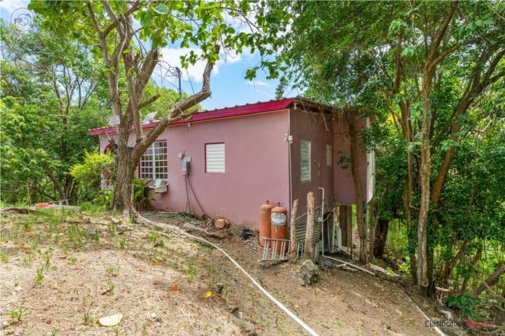 Private Mountain Retreat in Rincon,
en Rincón Puerto Rico MultiFamiliar en Barrio - Cruces