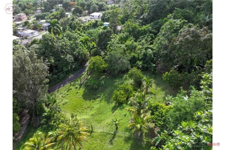 VENTA DE TERRENO,
en Moca Puerto Rico Solar en Barrio - Rocha