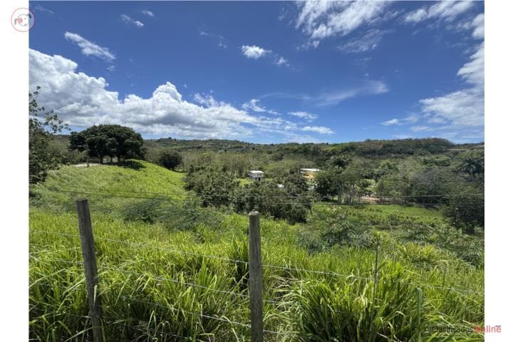 1.39 CDAS A 375 METROS DE LA CARR 100,
en Cabo Rojo Puerto Rico Finca en Barrio - Cerrillos