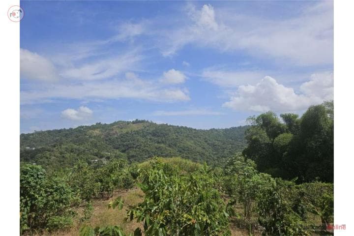 FINCA 20.52 CUERDAS EN BO. POZAS, CIALES,
en Ciales Puerto Rico Finca en Barrio - Pozas
