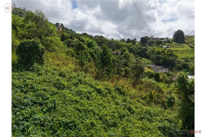 TERRENO DE 1,053 M2 PARA TU NUEVO HOGAR,
en Barranquitas Puerto Rico Solar en Barrio - Canabon