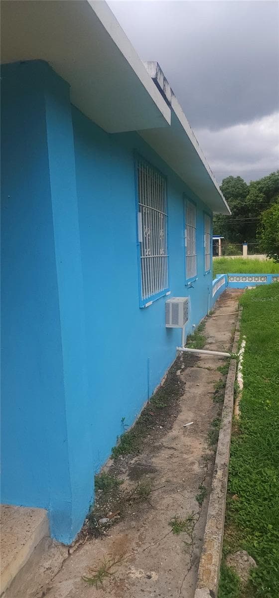 SECTOR PAPAYO