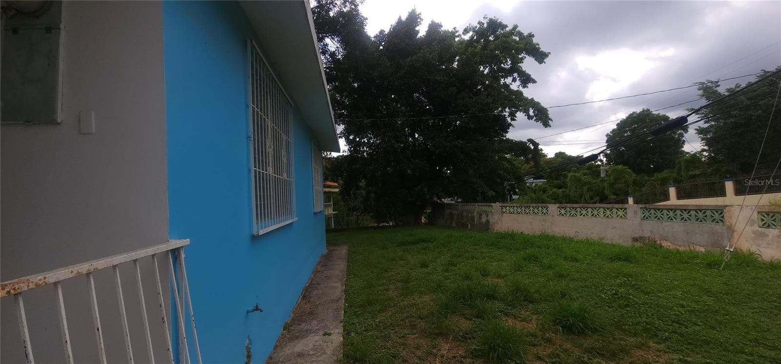 SECTOR PAPAYO