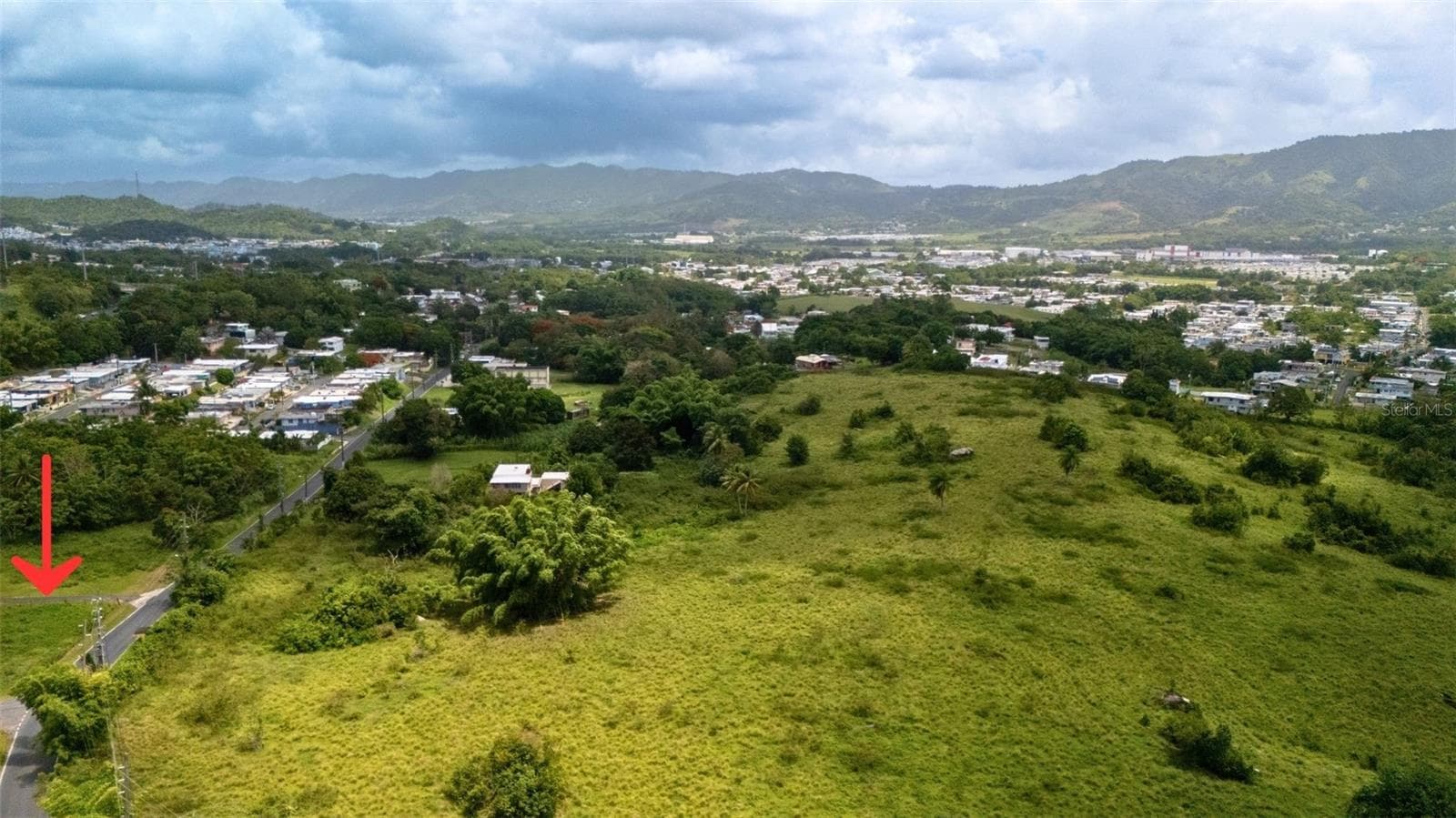 BO CEIBA SUR BRISAS DEL PEDREGAL