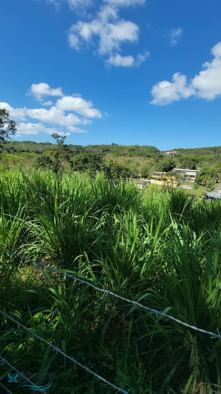 8 Calle 8, Guanajibo, Cabo Rojo, 00623