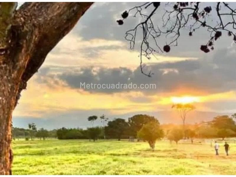 Foto de la propiedad