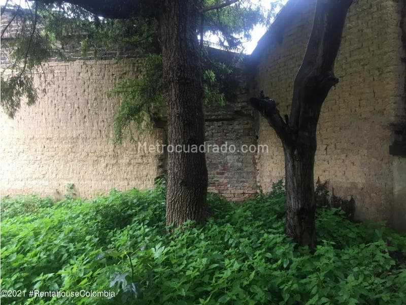 Casa en Las Cruces, Centro Histórico