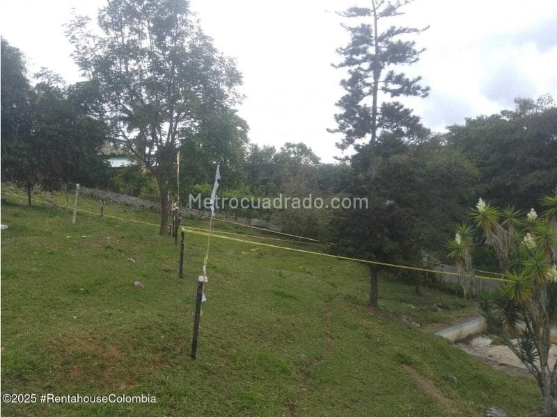 Foto de la propiedad