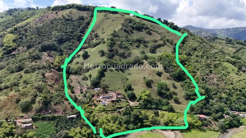 Foto de la propiedad