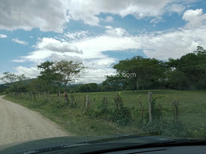 Foto de la propiedad