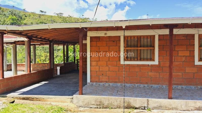 Foto de la propiedad