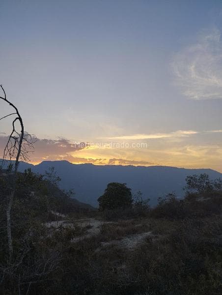 Foto de la propiedad