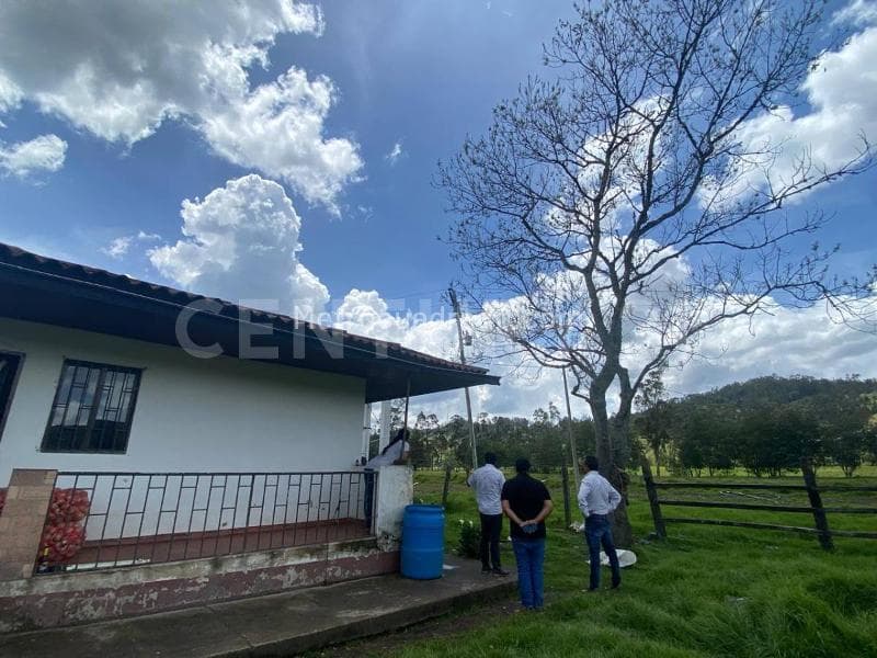 Foto de la propiedad